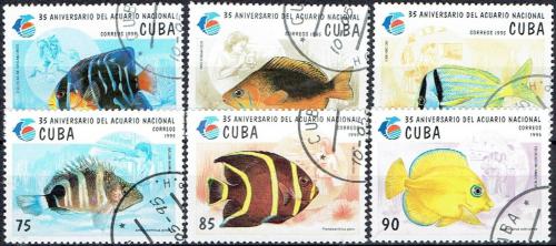 Potov znmky Kuba 1995 Ryby Mi# 3811-16