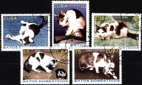 Potov znmky Kuba 2005 Domc maky Mi# 4700-04
