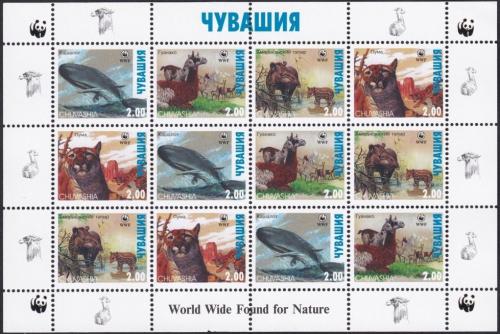 Potov znmky uvasko, Rusko 1998 Chrnn fauna, WWF Mi# N/N