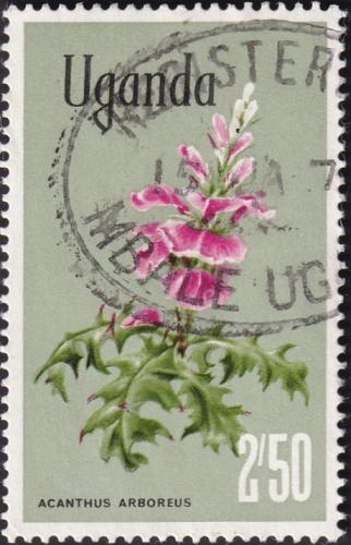 Potov znmka Uganda 1969 Acanthus arboreus Mi# 116 - zvi obrzok