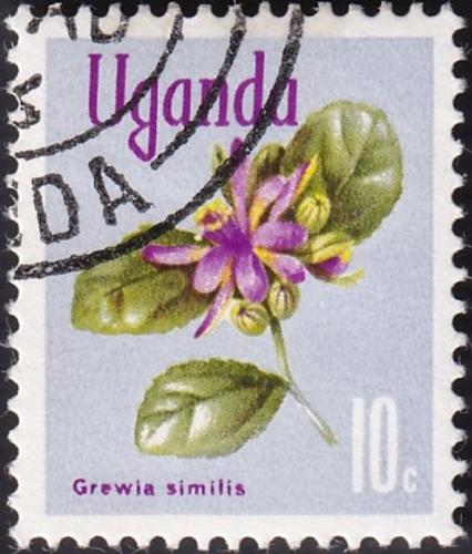 Potov znmka Uganda 1969 Grewia similis Mi# 106 - zvi obrzok