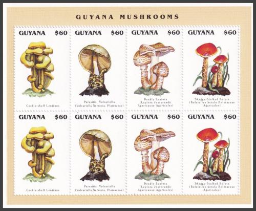 Potov znmky Guyana 1996 Huby Mi# 5534-37 Bogen Kat 14