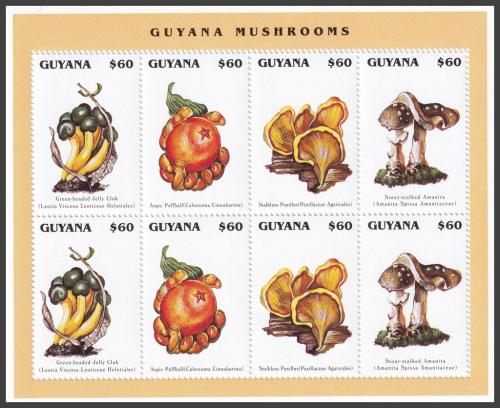 Potov znmky Guyana 1996 Huby Mi# 5542-45 Bogen Kat 14